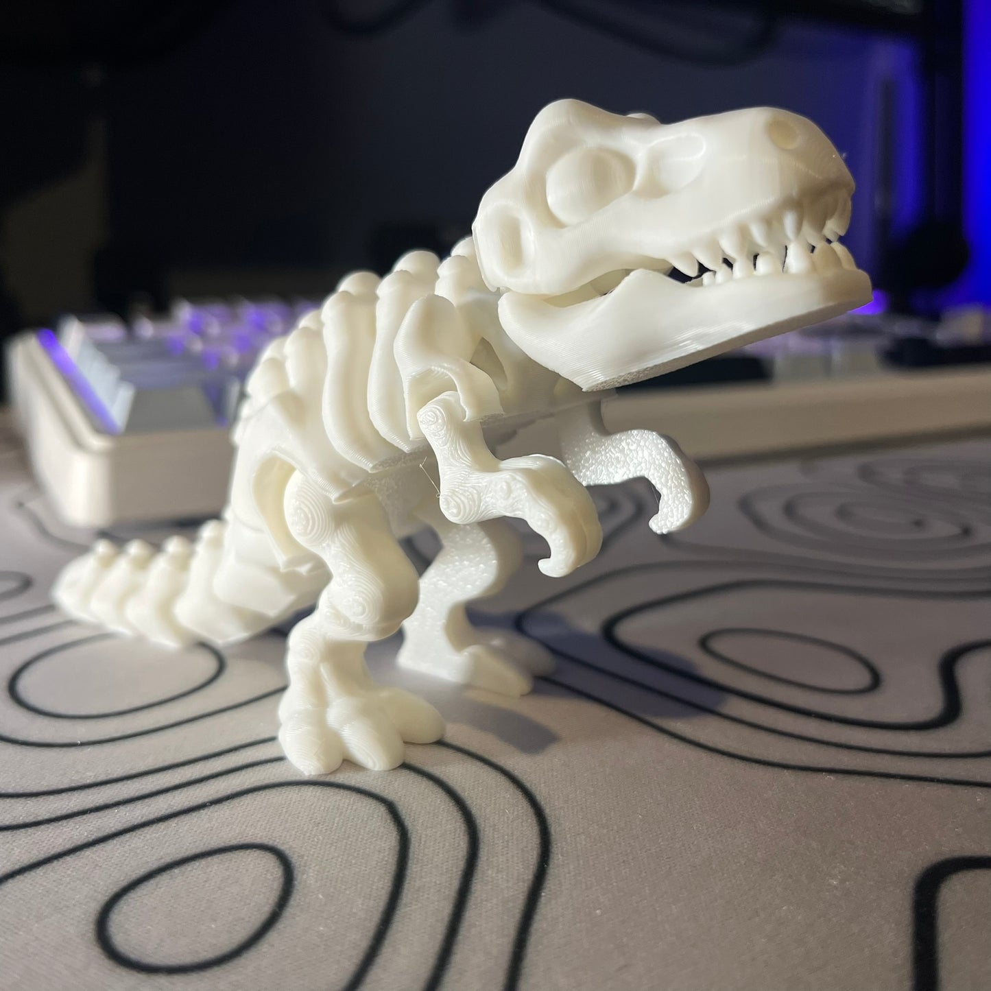 T-Rex Skeleton Articulating Toy