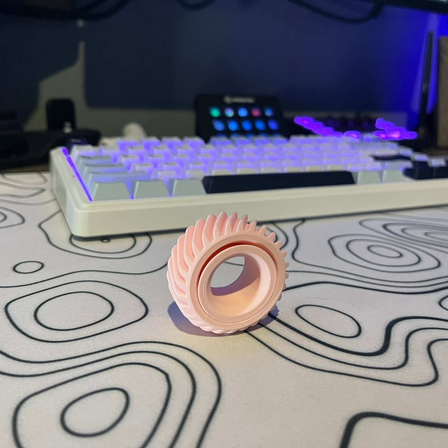Fidget Ring