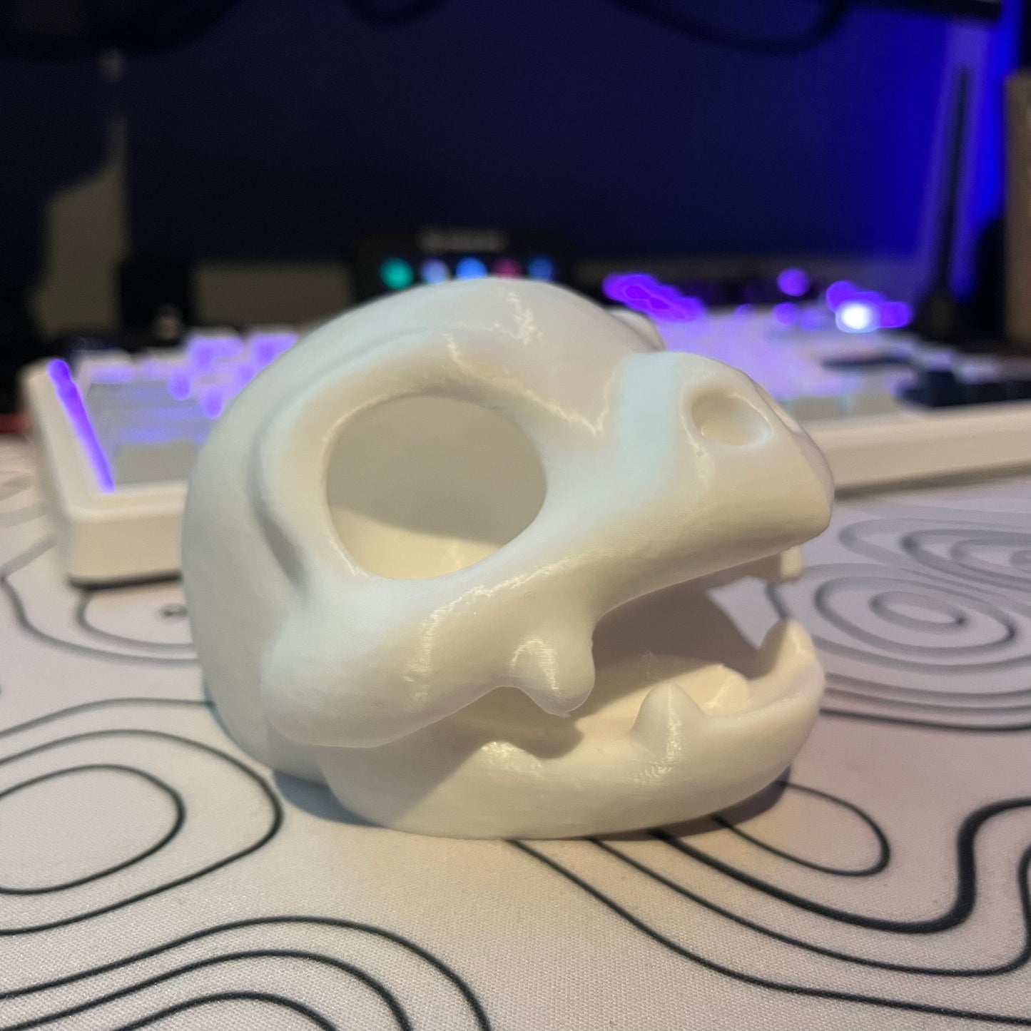 Blastoise Skull