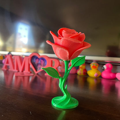 Valentines Eternal Rose