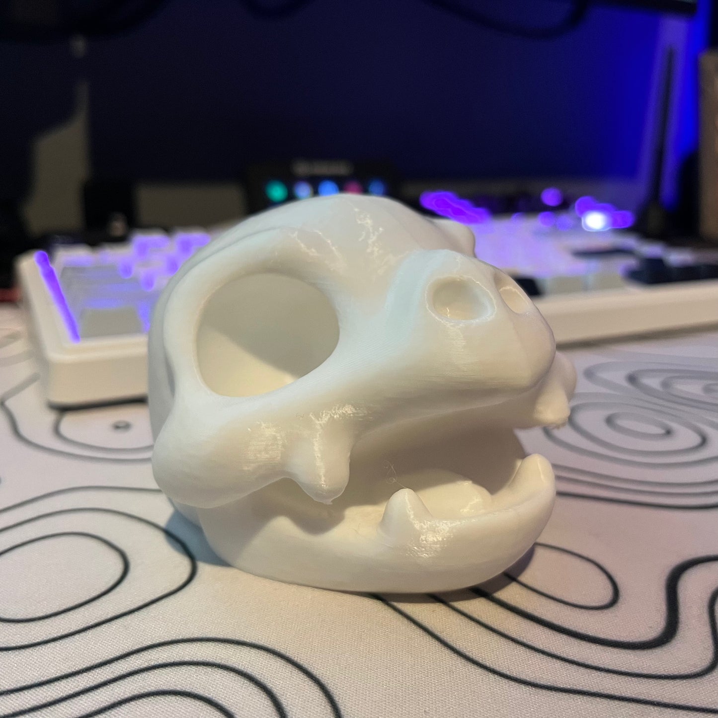 Blastoise Skull