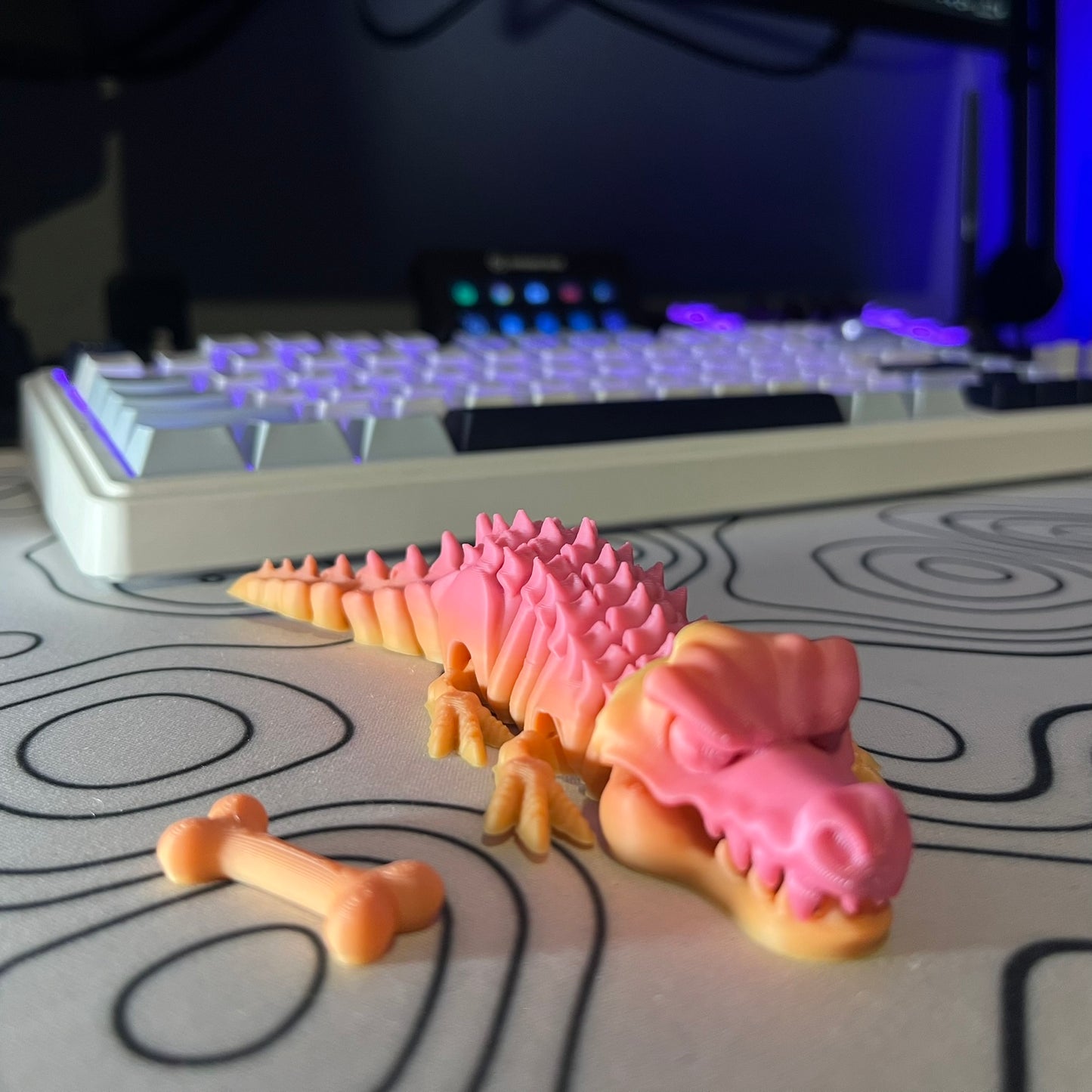 Alligator Skeleton Articulating Toy