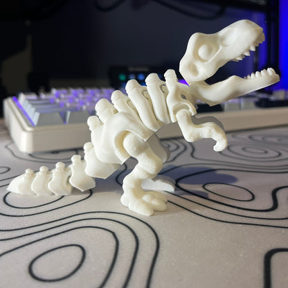 T-Rex Skeleton Articulating Toy