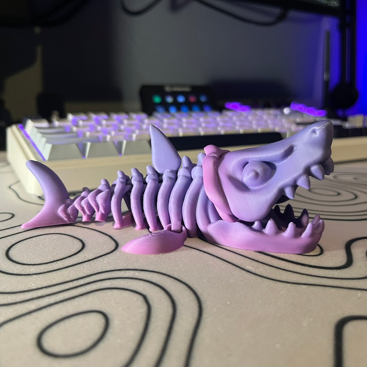 Megalodon Skeleton Articulating Toy